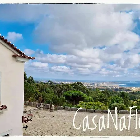 Charming House, Figueira Da Foz, Year-round Shared Pool *